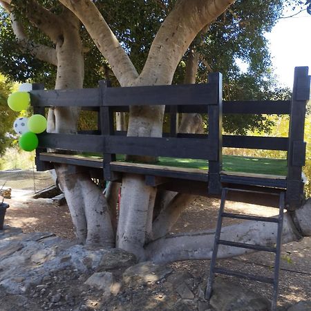 Casa Finca Donana 阿鲁卡斯 外观 照片