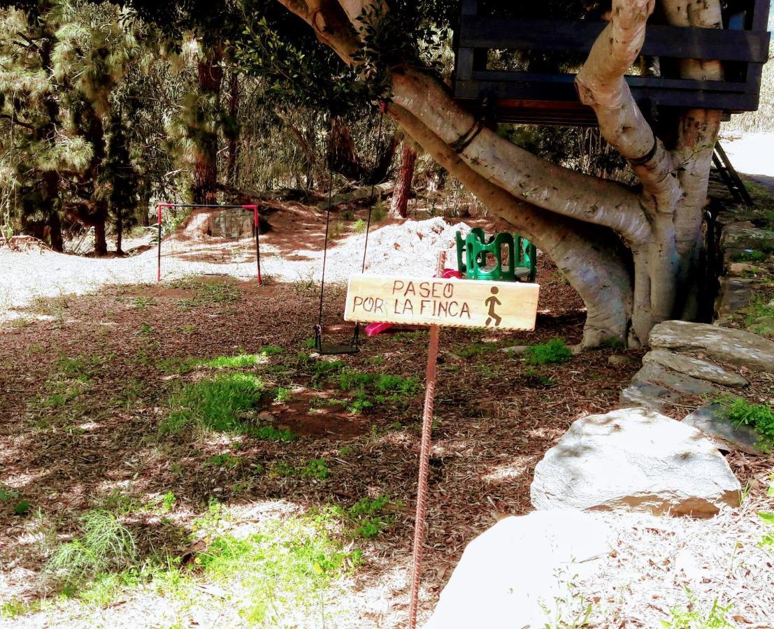 Casa Finca Donana 阿鲁卡斯 外观 照片