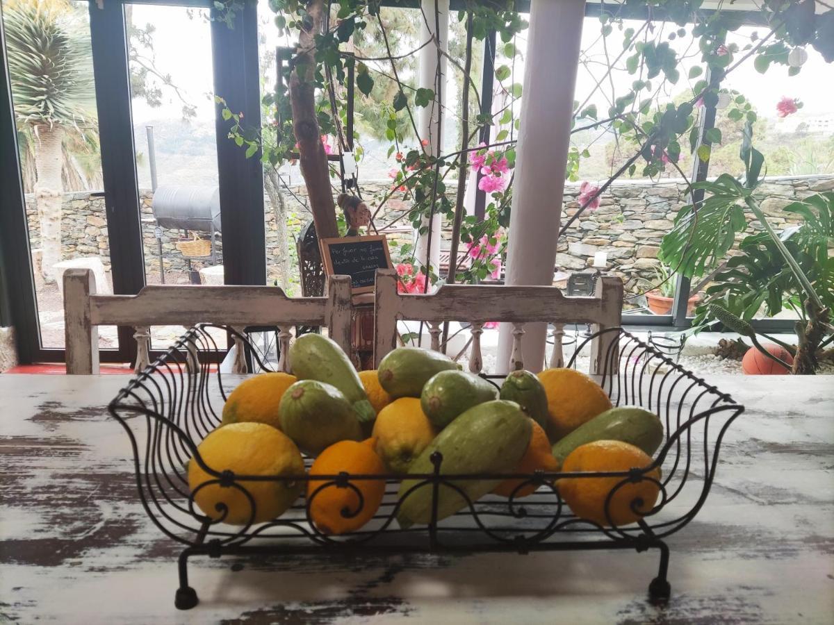 Casa Finca Donana 阿鲁卡斯 外观 照片