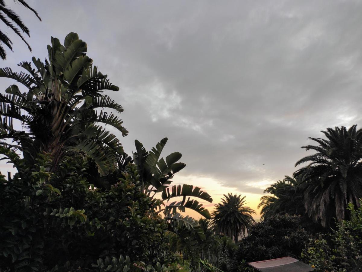 Casa Finca Donana 阿鲁卡斯 外观 照片